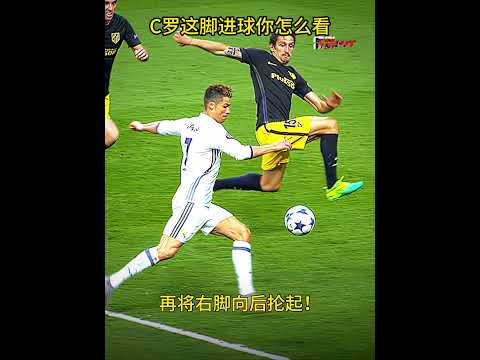 春季全国赛,艇锦标赛隆,重开幕,天天盈球足球比分,天天盈球比分官网,天天盈球体育,天天盈球网页版,天天盈球app下载电脑版